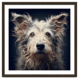 Old Dog 07 thumbnail