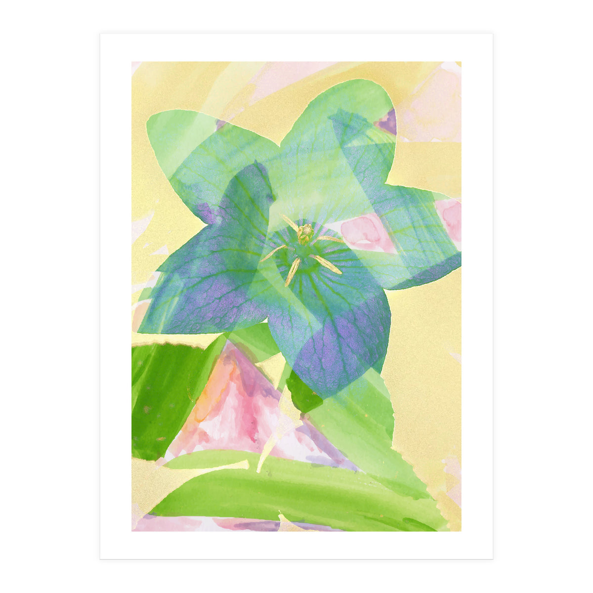 A Peaceful World (Print Only)