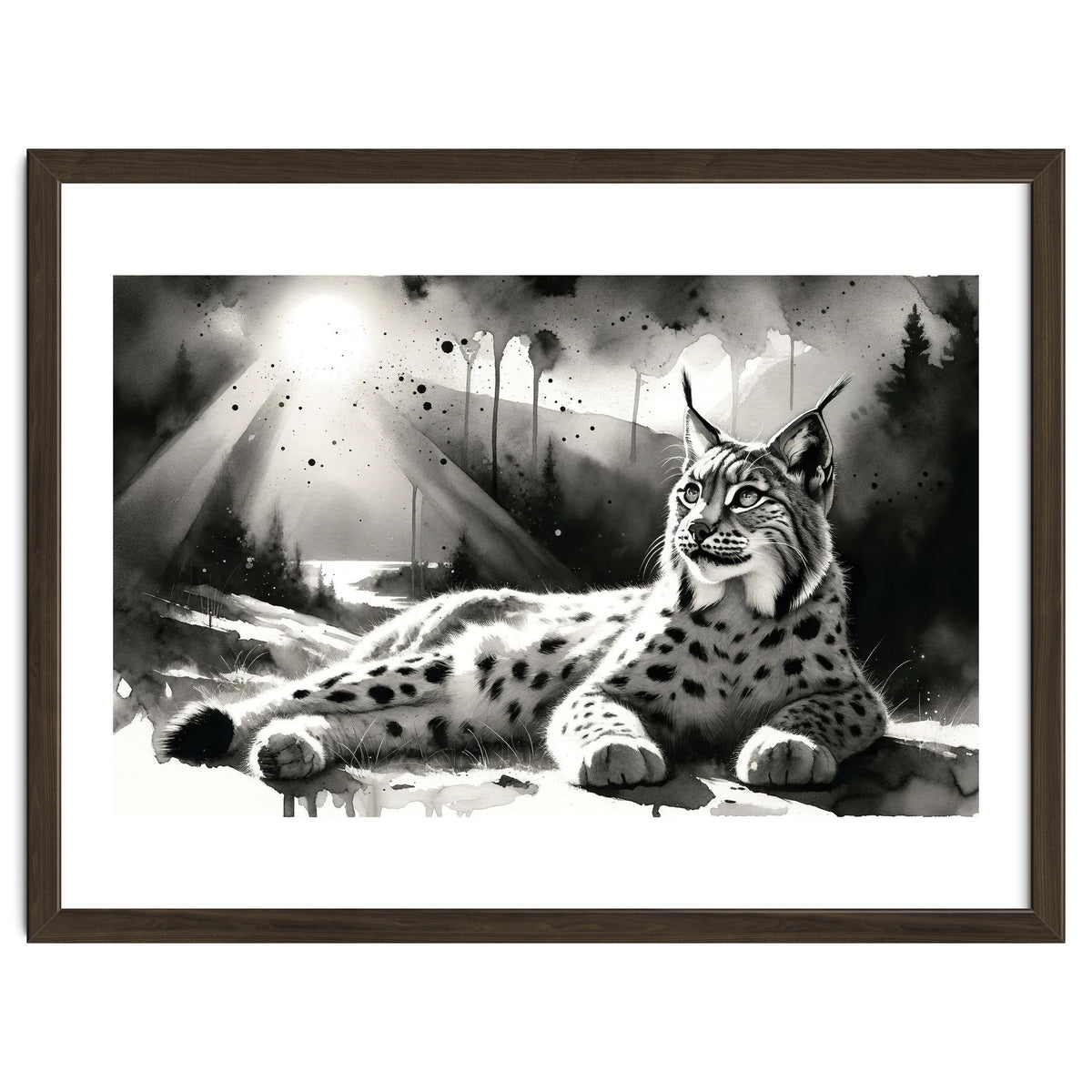 Lynx Resting In Sunlight