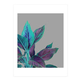 Still Nature (Print Only) thumbnail