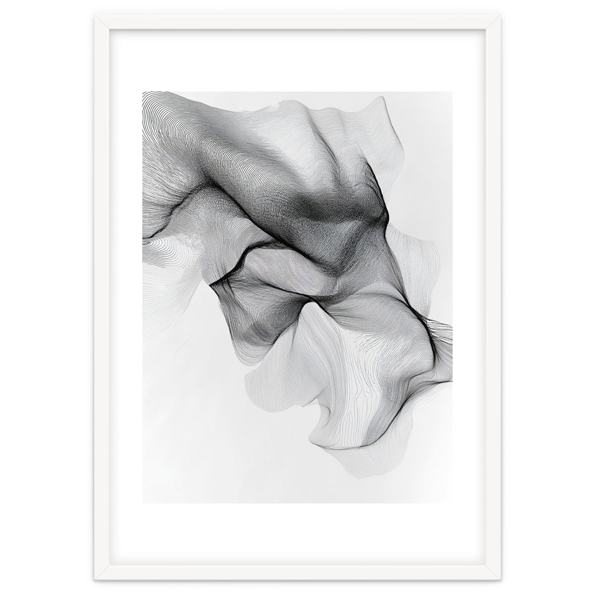 Abstract Black And White Flowing Lines Forming Organic Shapes And Forms