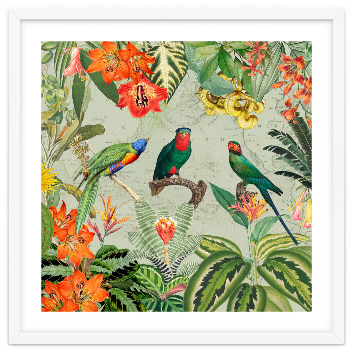 Exotic Parrots Jungle Landscape