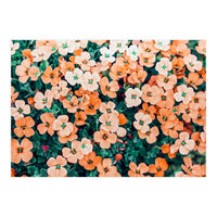 Floral Bliss, Nature Photography Garden Meadow, Blush Orange Coral Summer Flowers Botanical (Print Only)