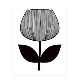 Tulip (Print Only) thumbnail