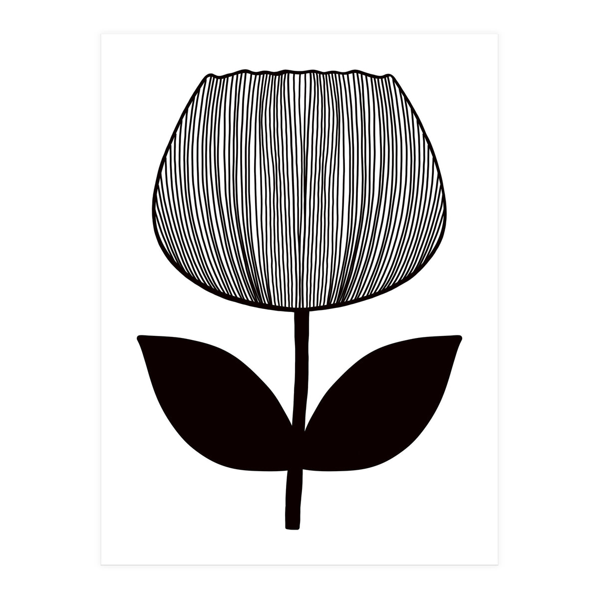 Tulip (Print Only)