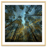 Enchanted Night Forest with Glowing Fireflies thumbnail