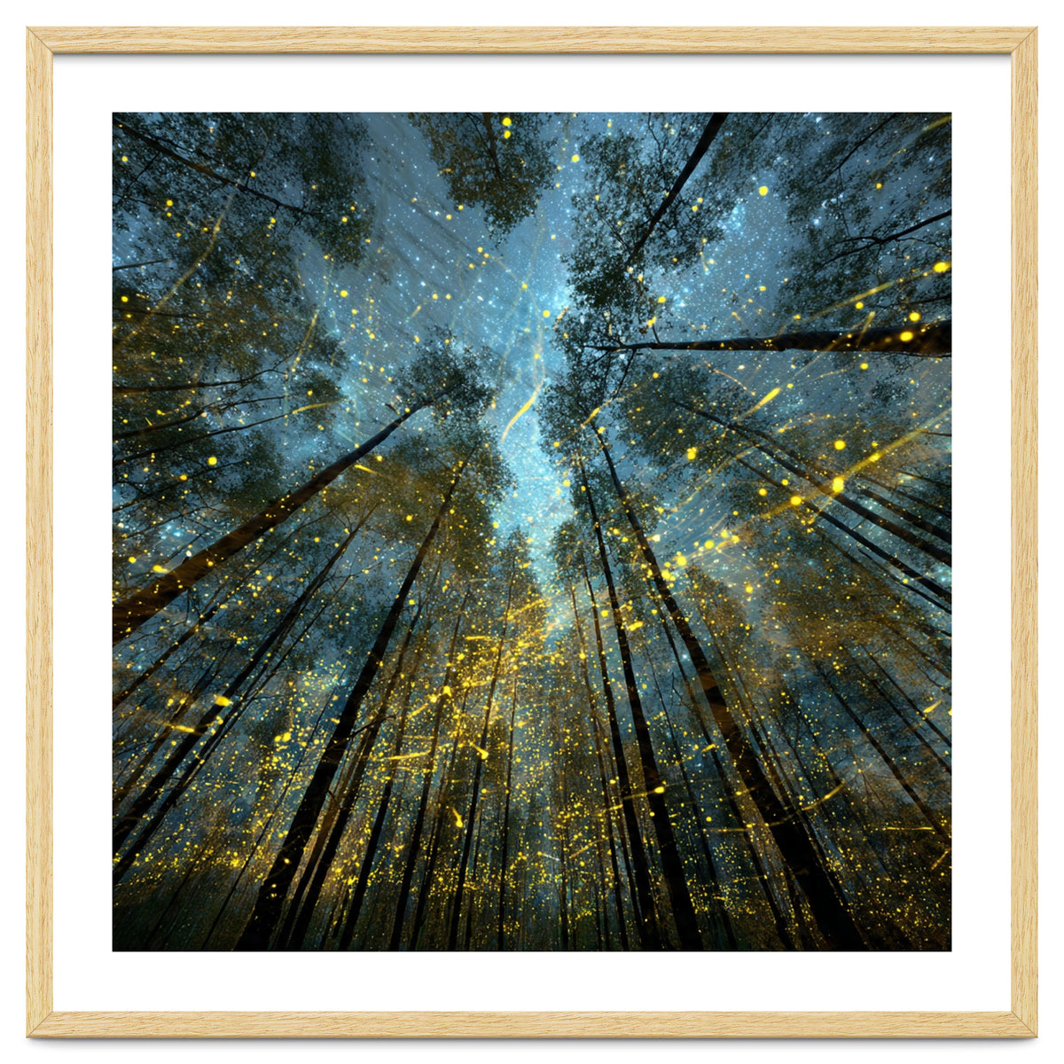 Enchanted Night Forest with Glowing Fireflies