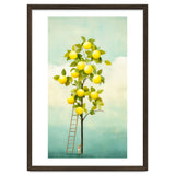 Lemon Tree thumbnail