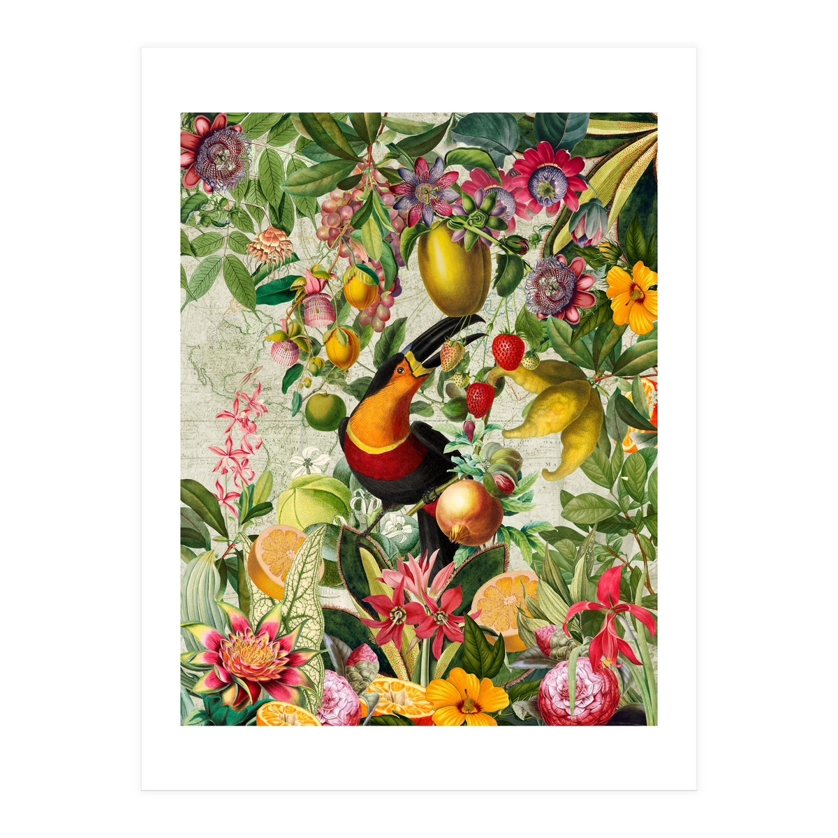 Toucan vintage jungle 1 (Print Only)