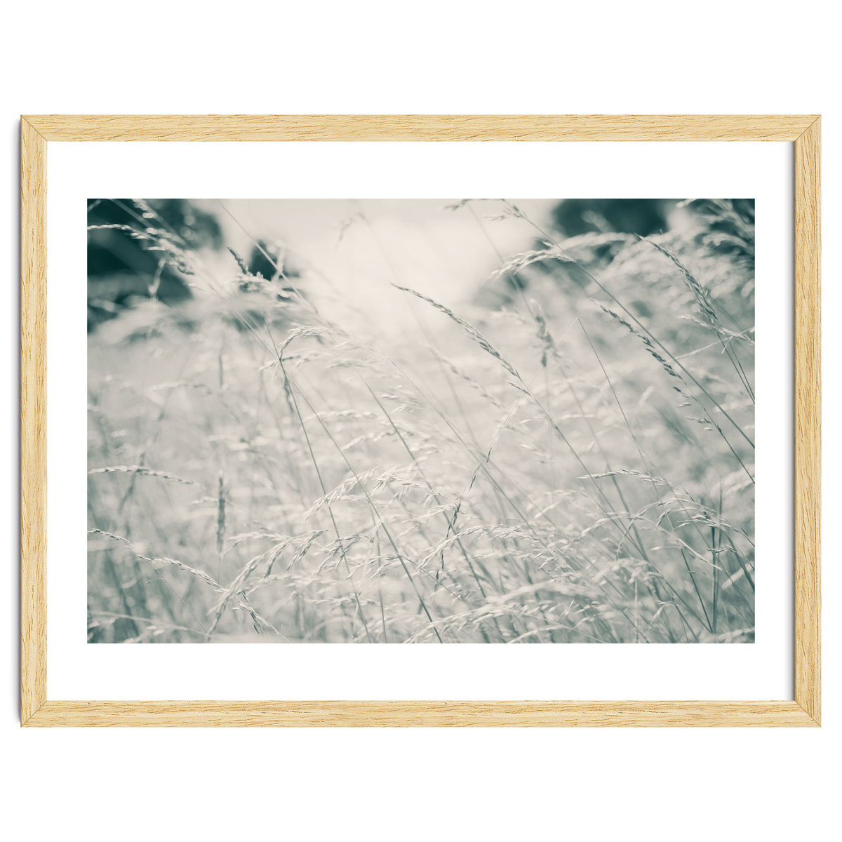 Walking Through Long Grass