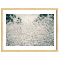 Walking Through Long Grass