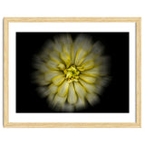 Backyard Flowers No 86 Color Flow Version thumbnail