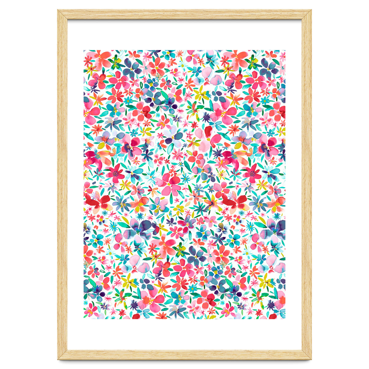 Colorful Flower Petals