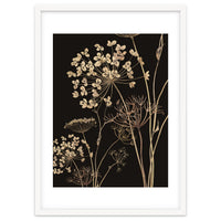 Wildflowers I