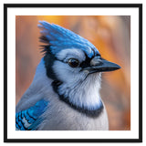 Blue Jay Bird Close Up Detailed Portrait thumbnail
