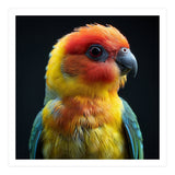 Vibrant Sun Conure Parrot Close Up Portrait (Print Only) thumbnail