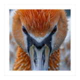 Close Up Of A Pelican's Beak With Water Droplets (Print Only) thumbnail