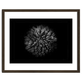 Backyard Flowers In Black And White No 68 with Border thumbnail