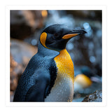 King Penguin Close Up Portrait Nature (Print Only) thumbnail