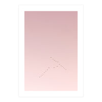 Graceful flight amidst the pink horizon (Print Only)