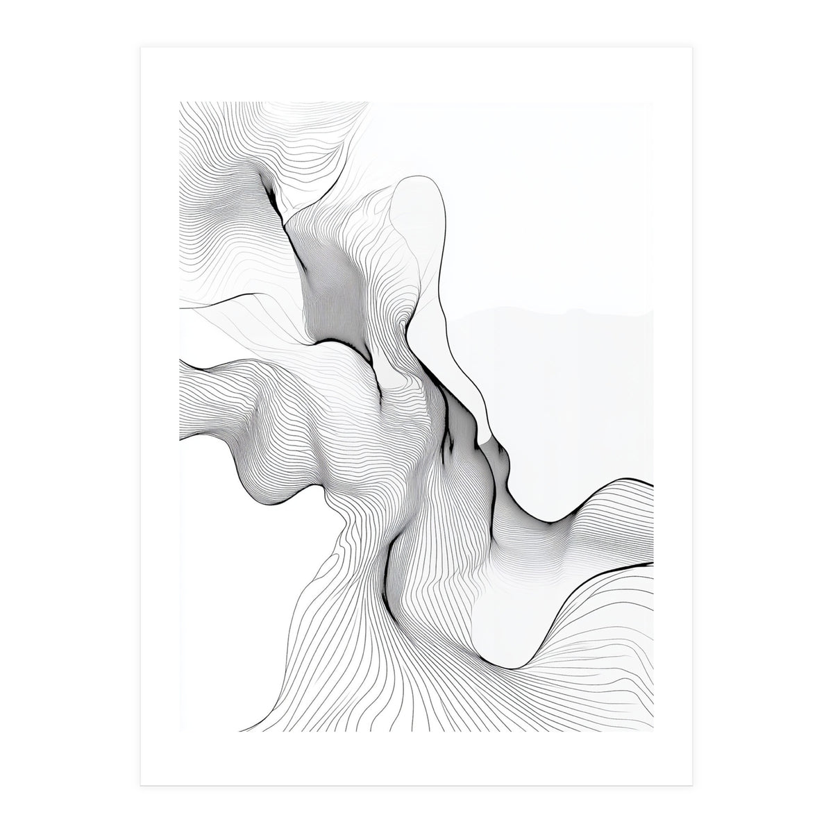 Abstract Black And White Flowing Lines (Print Only)