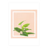 Botanical Art (Print Only) thumbnail
