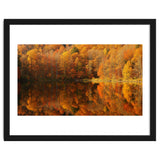 Autumn Reflections thumbnail