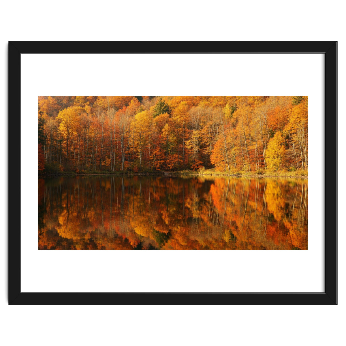 Autumn Reflections