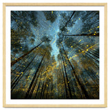Enchanted Night Forest with Glowing Fireflies thumbnail