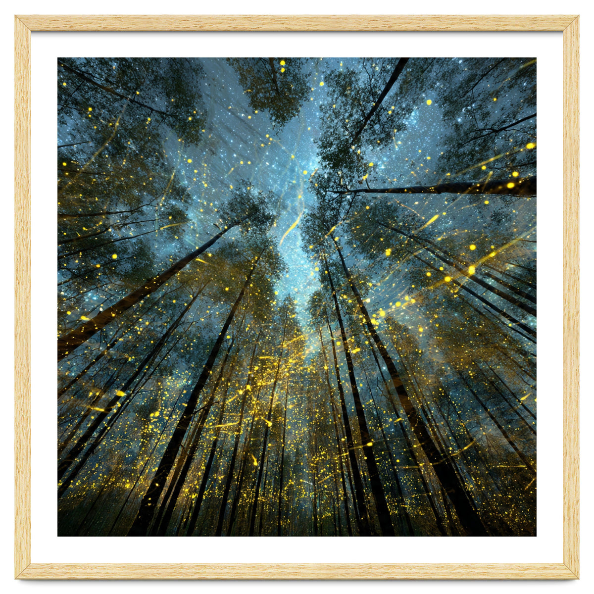 Enchanted Night Forest with Glowing Fireflies