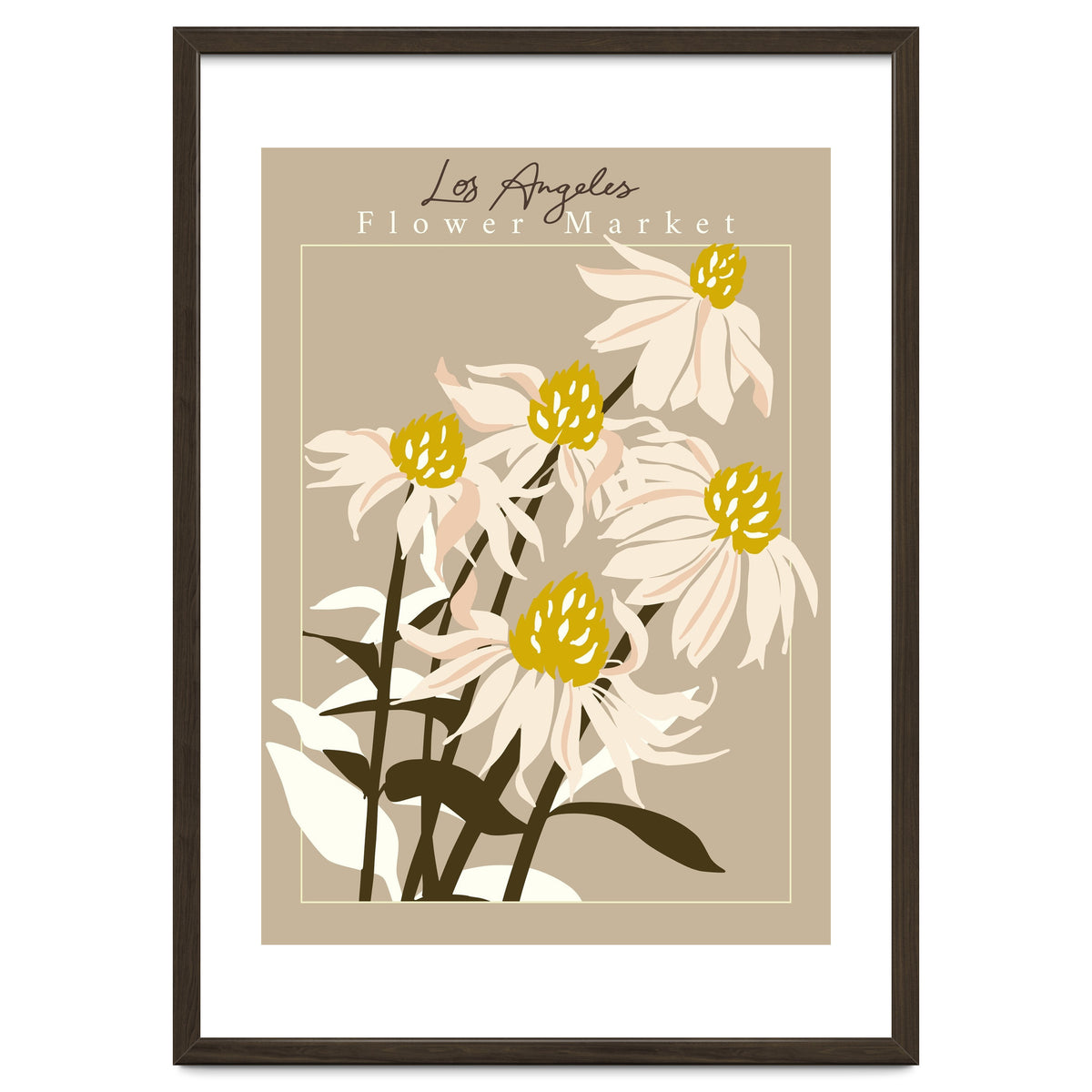 Flower Market Los Angeles Echinacea