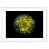 Backyard Flowers No 128 Color Version thumbnail