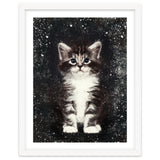 Bicolor Cute Kitten Portrait thumbnail