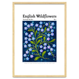 English Wildflowers | Forget-Me-Not thumbnail
