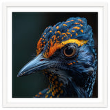 Close Up Of A Colorful Bird Head And Eye thumbnail