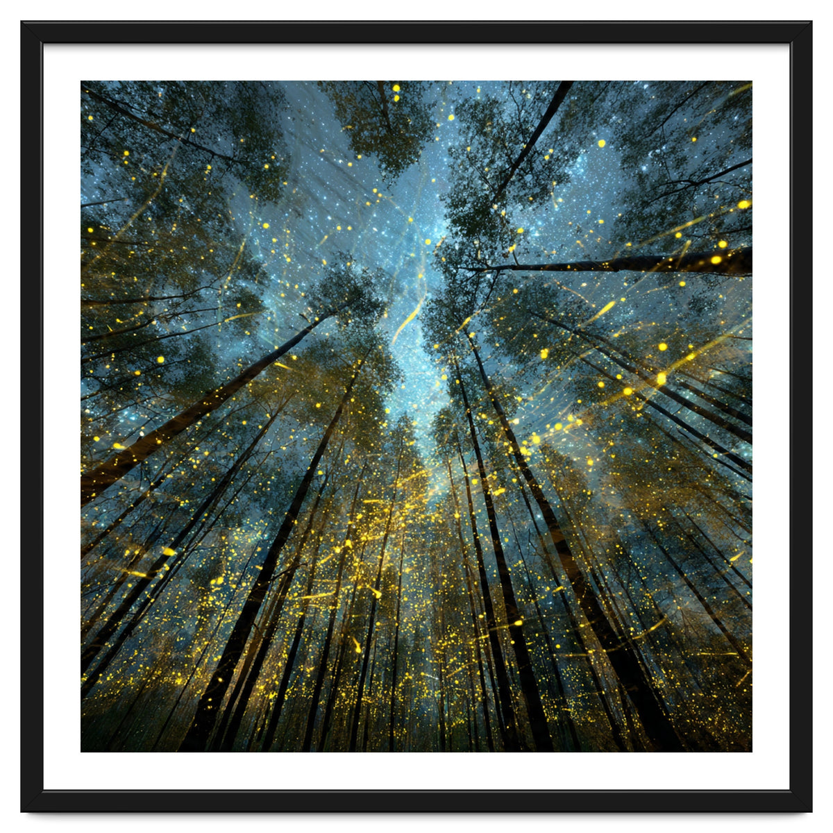 Enchanted Night Forest with Glowing Fireflies