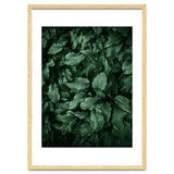 New Foliage Green Ii thumbnail