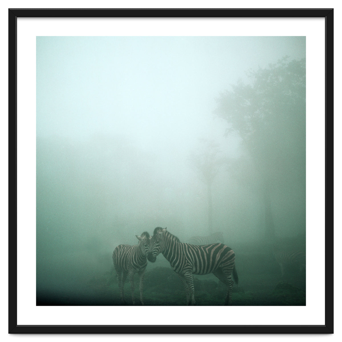 Silence of breath - 11