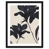 Shadowed Blooms