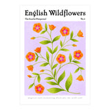 English Wildflowers | Scarlet Pimpernel  (Print Only) thumbnail