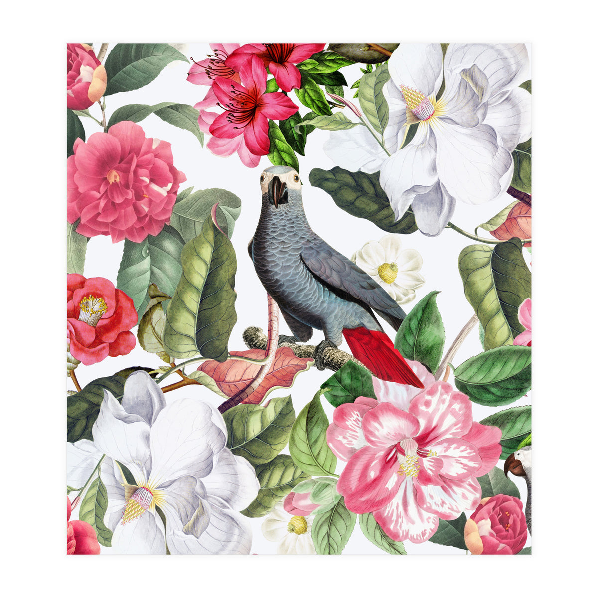 Vintage Cockatoo in Flower Jungle (Print Only)