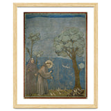 Saint Francis of Assisi preaching to the birds. Giotto. GIOTTO DE BONDONE (1266-1337). thumbnail