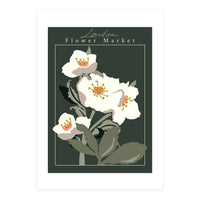 Flower Market London Hellebore (Print Only)