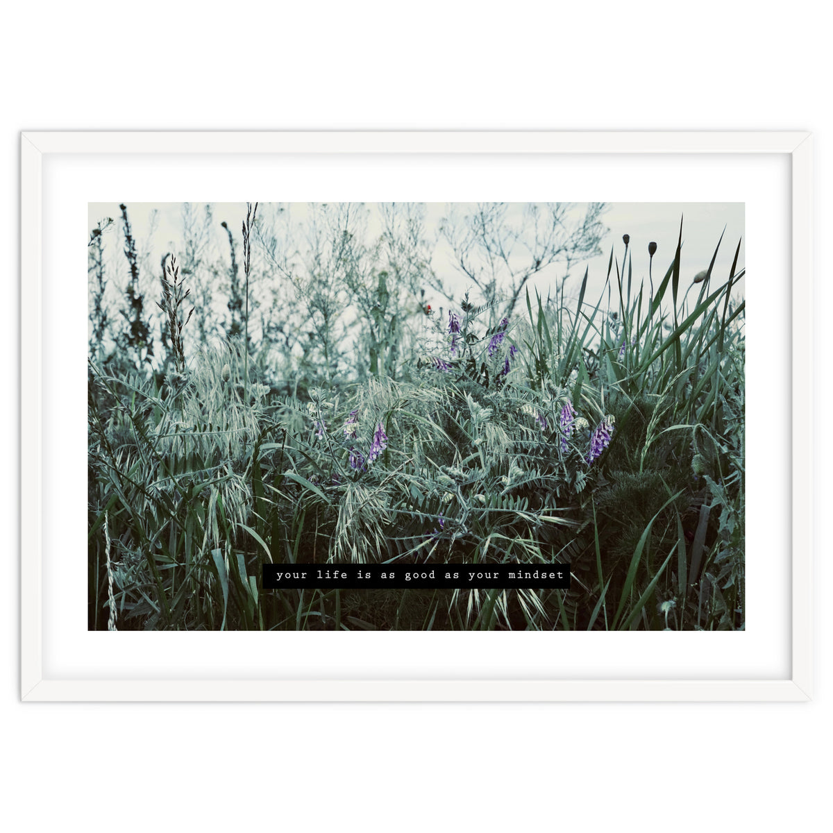 Photography - Summer Garden