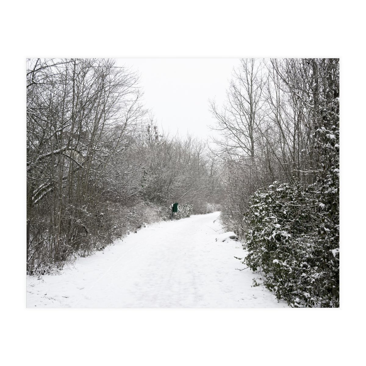 Walking through the snow park (Print Only)