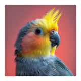 Cockatiel Parrot Head Close Up Portrait (Print Only) thumbnail