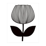 Tulip (Print Only) thumbnail