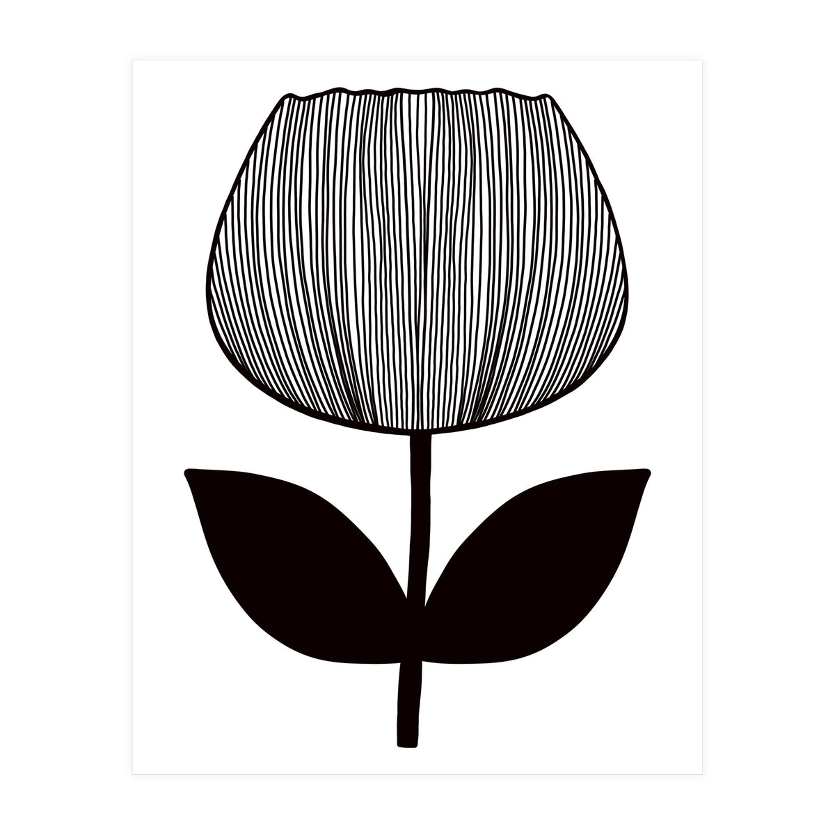 Tulip (Print Only)