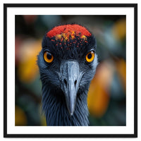Close Up Of A Strikingly Beautiful Bird Face