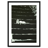 Cat On Stairs thumbnail